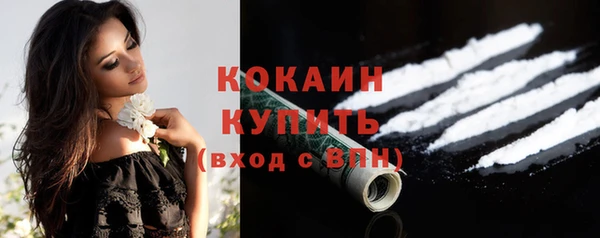 твердый Алексин