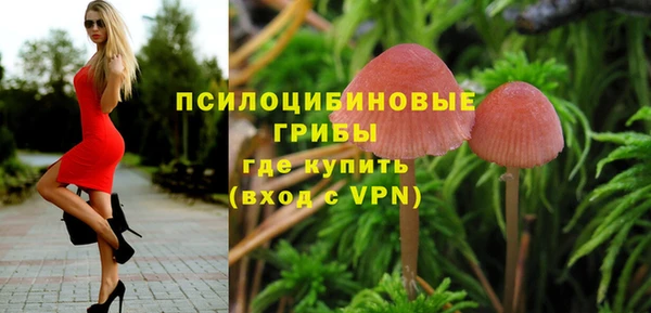 твердый Алексин