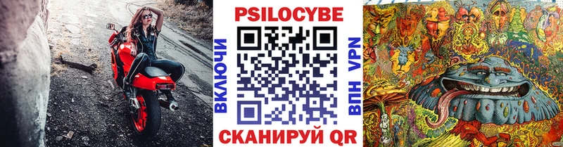 Галлюциногенные грибы Psilocybe Заозёрный